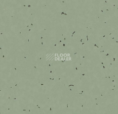 Линолеум Forbo Sphera Energetic 50236 thyme фото 1 | FLOORDEALER